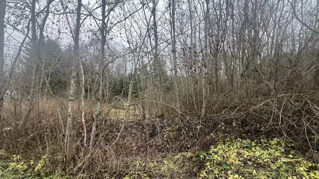 Участок в Московская область, Истра муниципальный округ, д. Гомово  ... - Фото 2