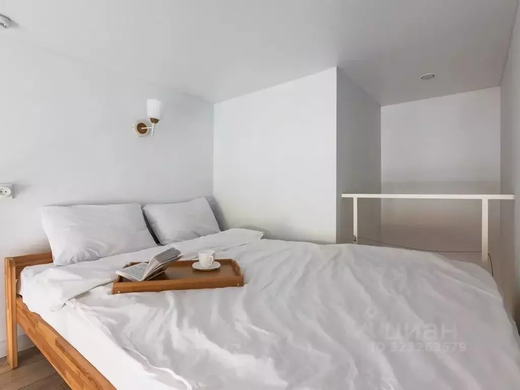 Студия Санкт-Петербург Садовая ул., 32/1 (22.0 м) - Фото 2