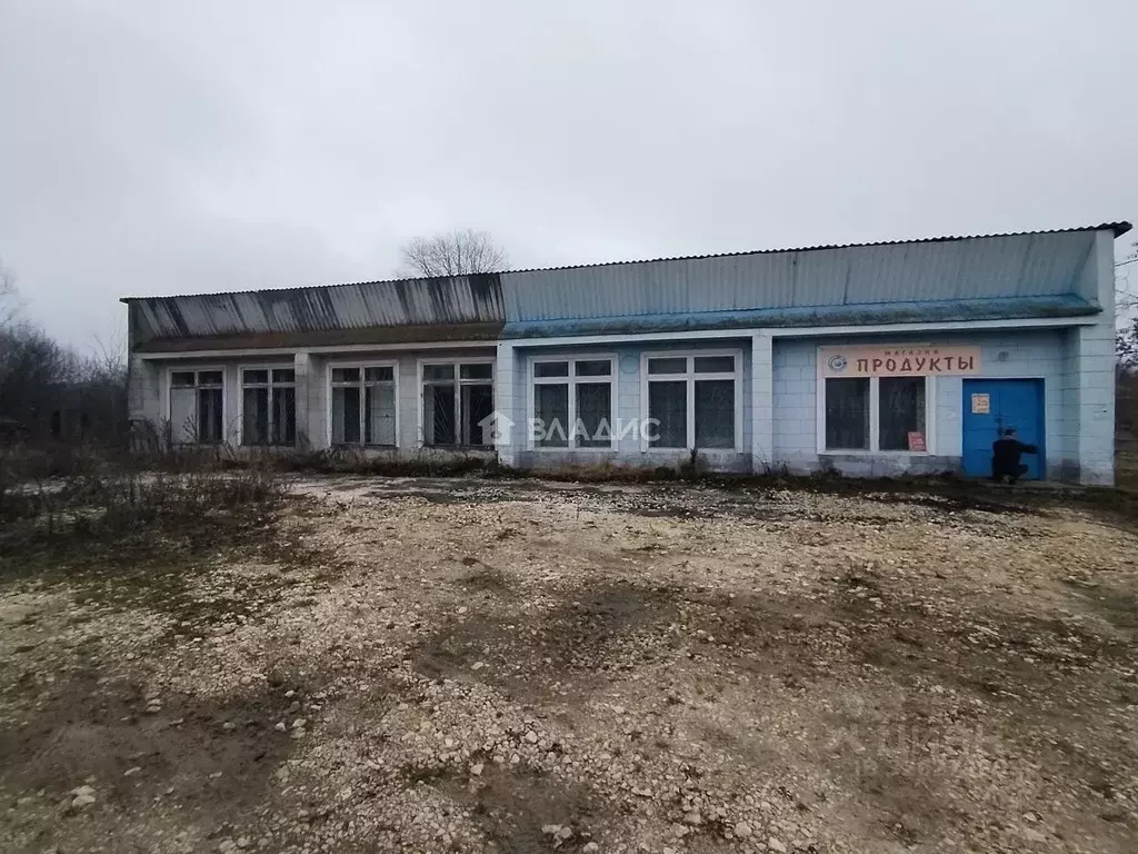 Помещение свободного назначения в Владимирская область, Вязниковский ... - Фото 2