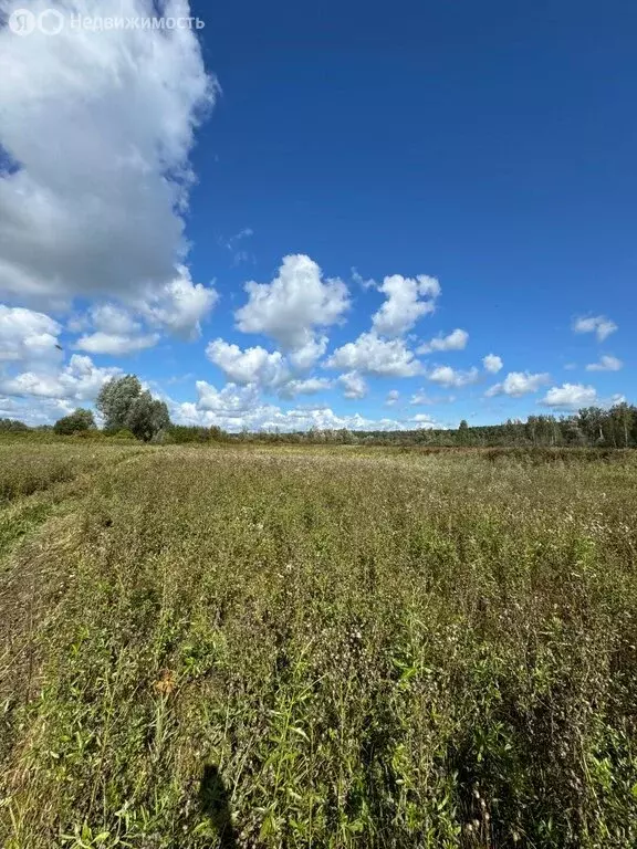 Участок в Новосибирский район, село Кубовая (12 м) - Фото 2
