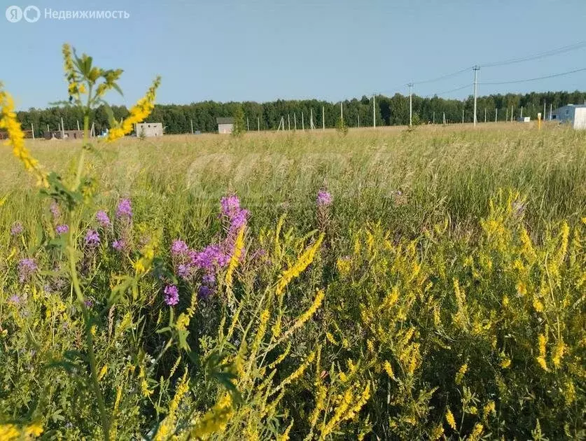 Участок в Тюменский район, деревня Падерина (10 м) - Фото 1