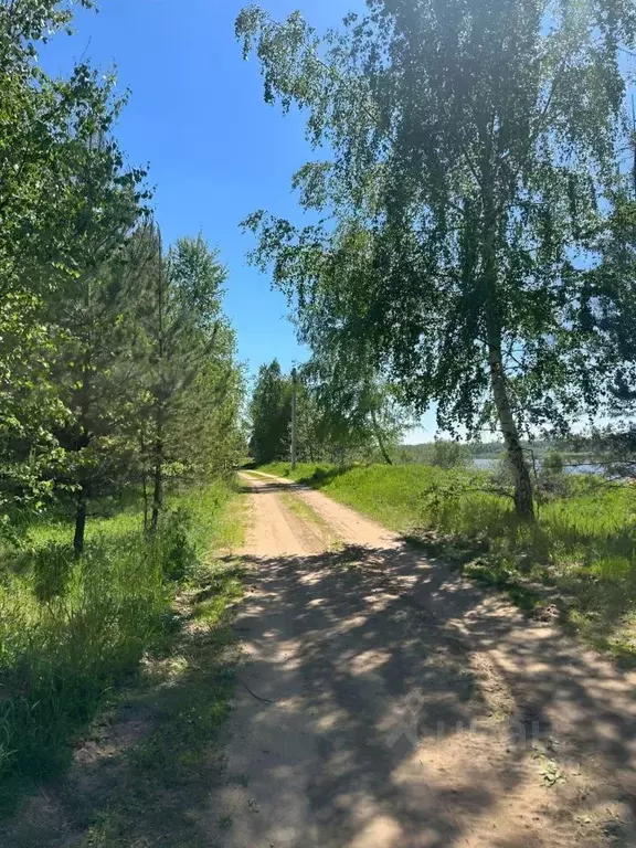 Участок в Тверская область, Калининский муниципальный округ, Тихий ... - Фото 1
