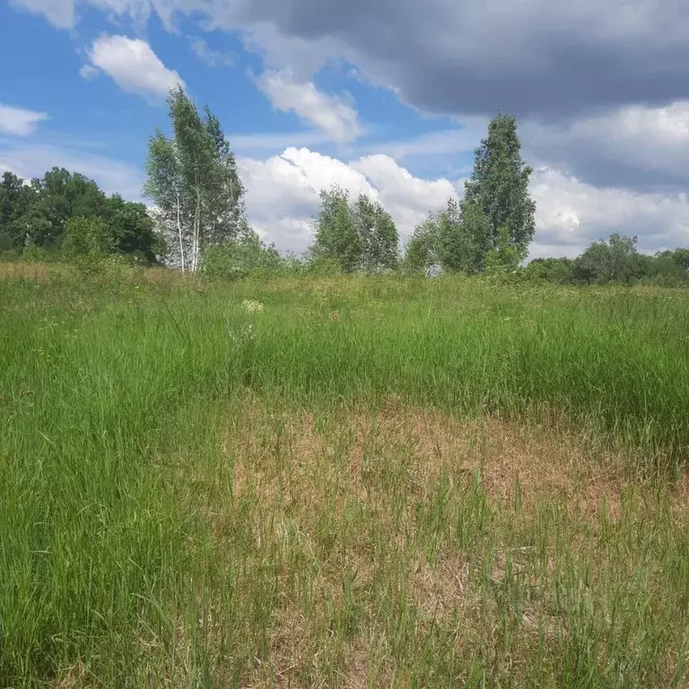 Участок в Московская область, Ступино городской округ, с. Батайки  ... - Фото 0