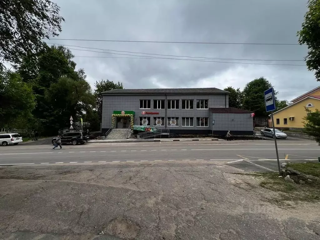 Торговая площадь в Псковская область, Пушкинские Горы рп ул. ... - Фото 2