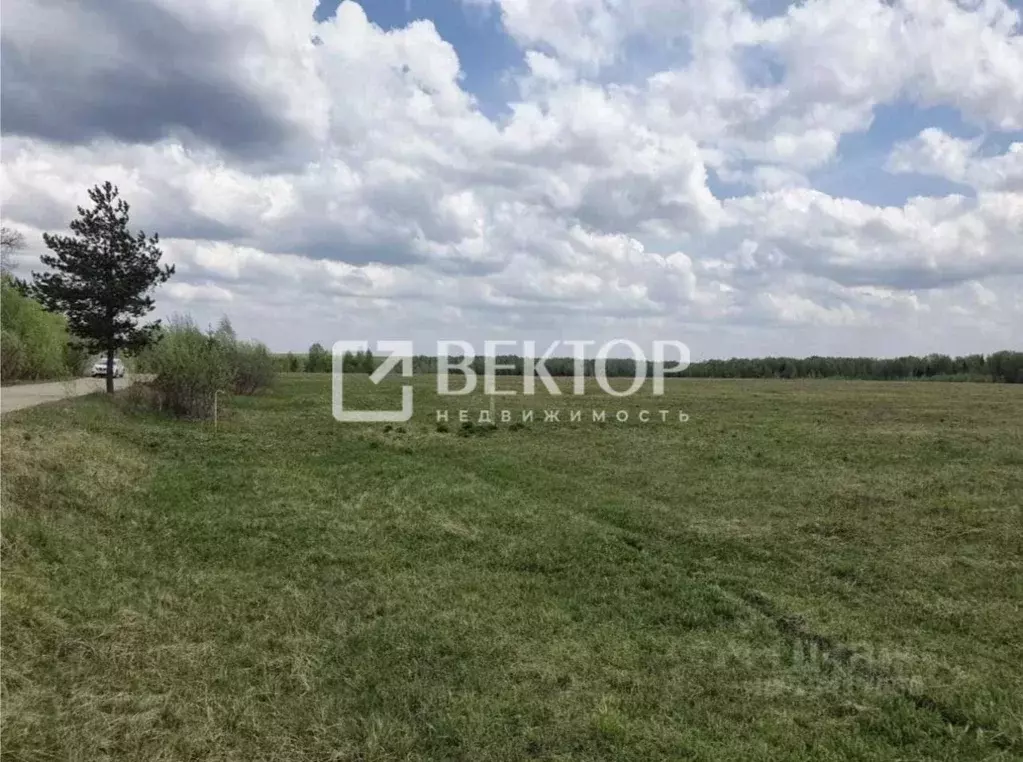 Участок в Ивановская область, Ивановский район, Беляницкое с/пос, д. ... - Фото 2