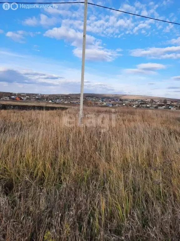 Участок в Республика Мордовия, село Кочкурово (15 м) - Фото 1