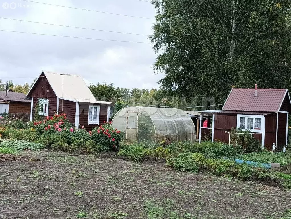 Дом в Новосибирская область, Коченёвский муниципальный район, рабочий ... - Фото 1