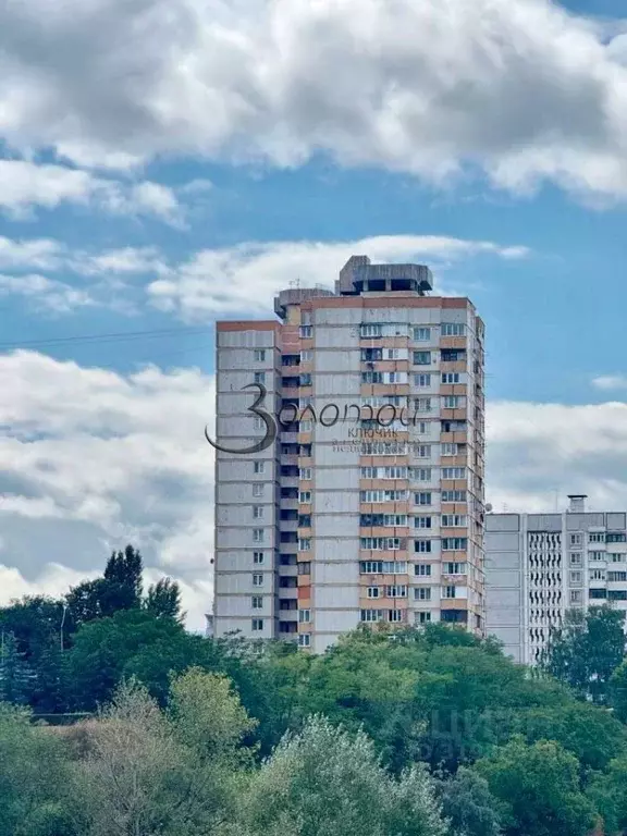 1-к кв. Ставропольский край, Кисловодск просп. Победы, 159 (34.3 м) - Фото 2