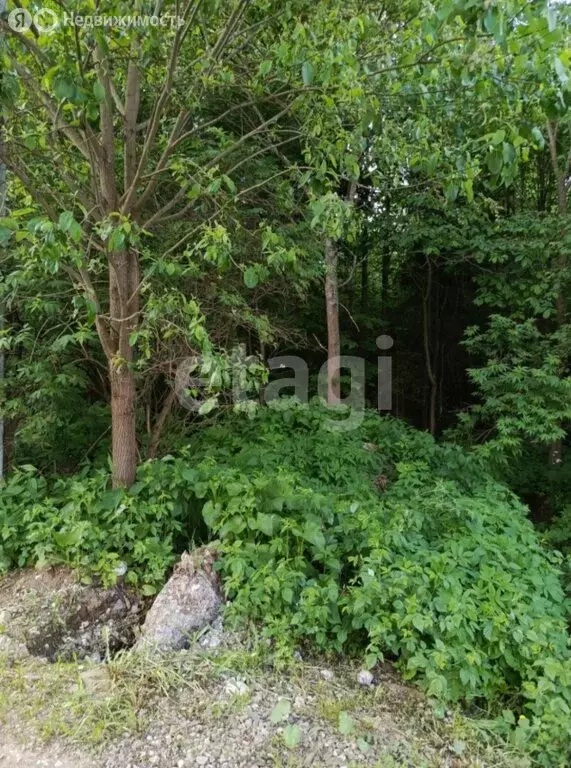 Участок в Пермь, Свердловский район, Пасечная улица (10 м) - Фото 1