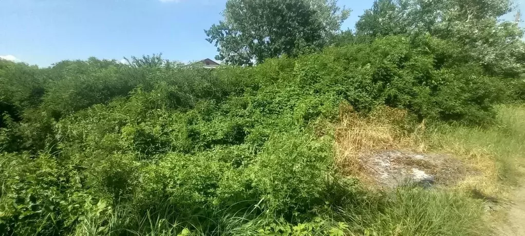 Участок в Краснодарский край, Северский район, Афипское городское ... - Фото 2