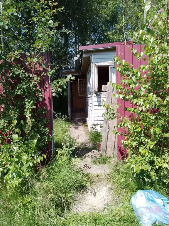 Дом в Тверская область, Осташковский городской округ, д. Жар  (64 м) - Фото 1