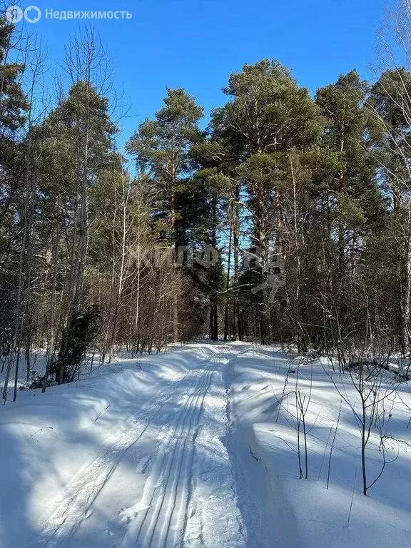 Участок в село Барышево, Институтская улица (10 м) - Фото 1