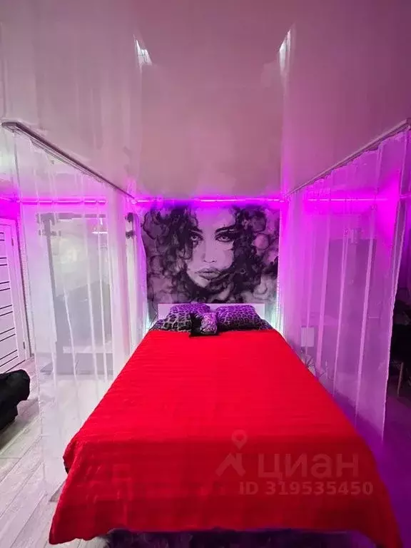 Студия Воронежская область, Воронеж Никитинская ул., 36 (31.0 м) - Фото 0