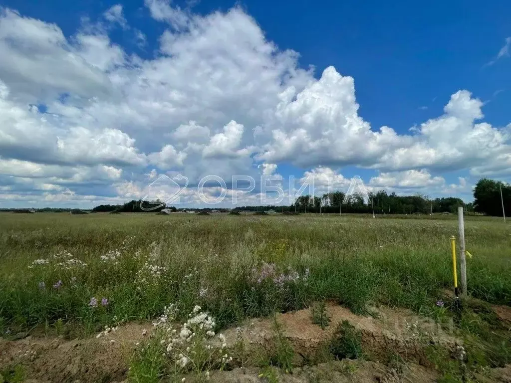 Участок в Тюменская область, Тюменский муниципальный округ, ... - Фото 1