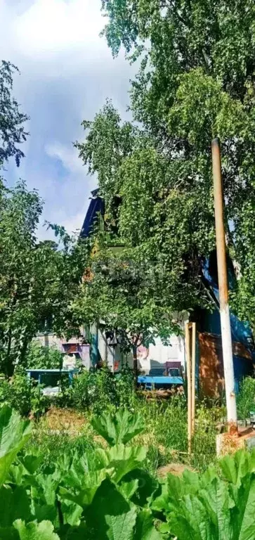Дом в Забайкальский край, Чита Заря СОТ,  (40 м) - Фото 0