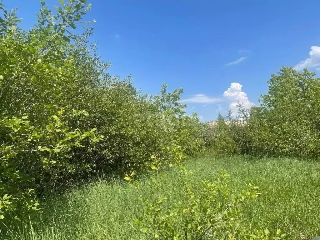 Участок в Татарстан, Казань Залесный садоводческое товарищество,  ... - Фото 0