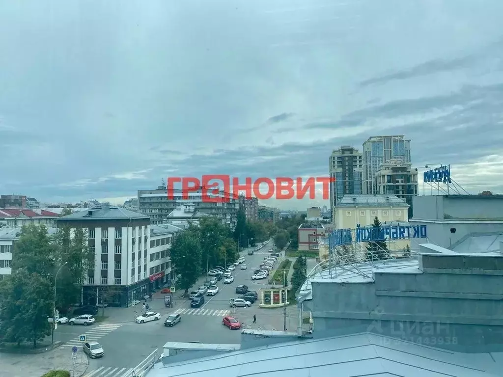 Офис в Новосибирская область, Новосибирск просп. Димитрова, 4/1 (97 м) - Фото 2