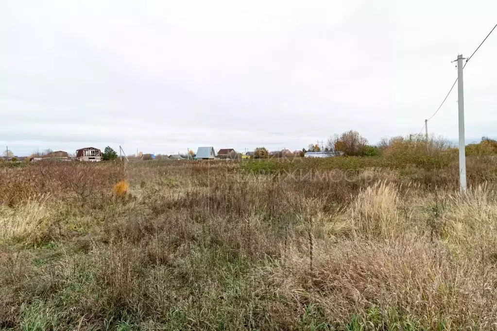 Участок в Тюменская область, Тюмень Рябинка-2 садовое товарищество,  ... - Фото 1