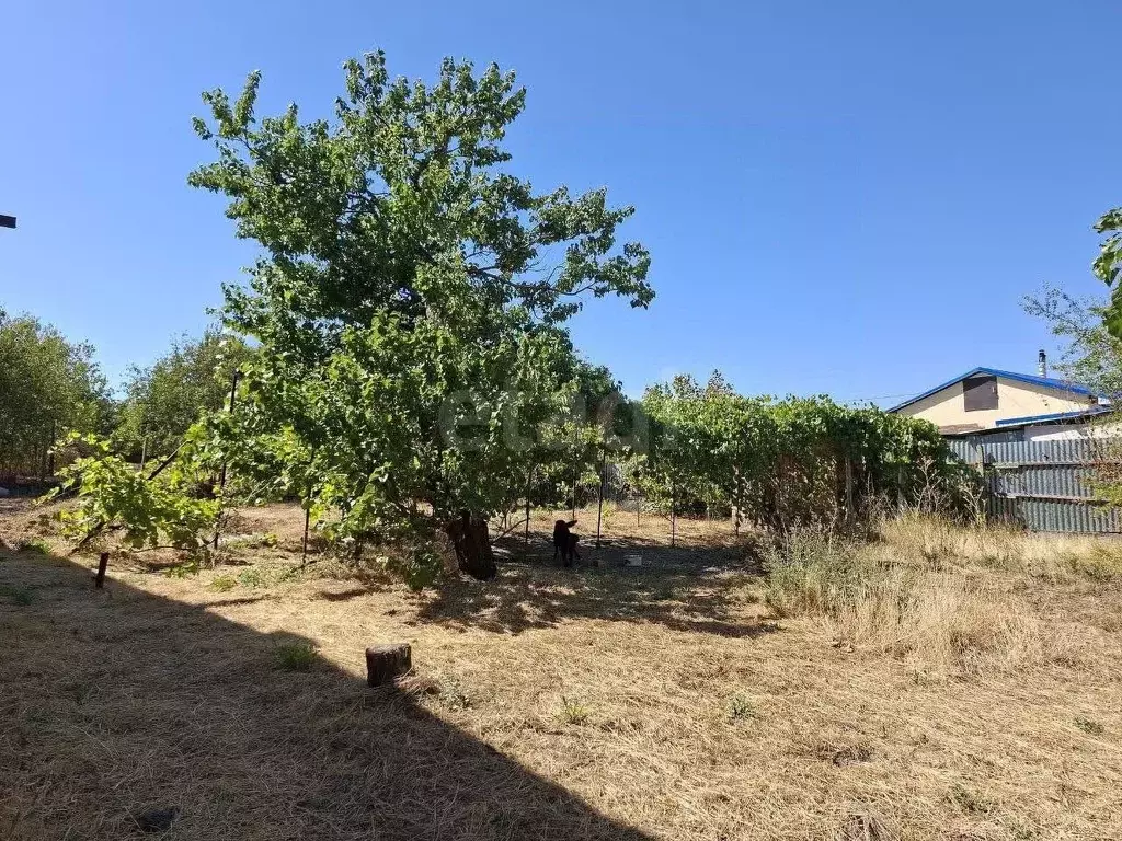 Дом в Крым, Симферопольский район, Трудовское с/пос, ... - Фото 2