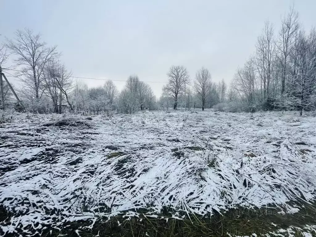 Участок в Смоленская область, Кардымовский муниципальный округ, ... - Фото 1