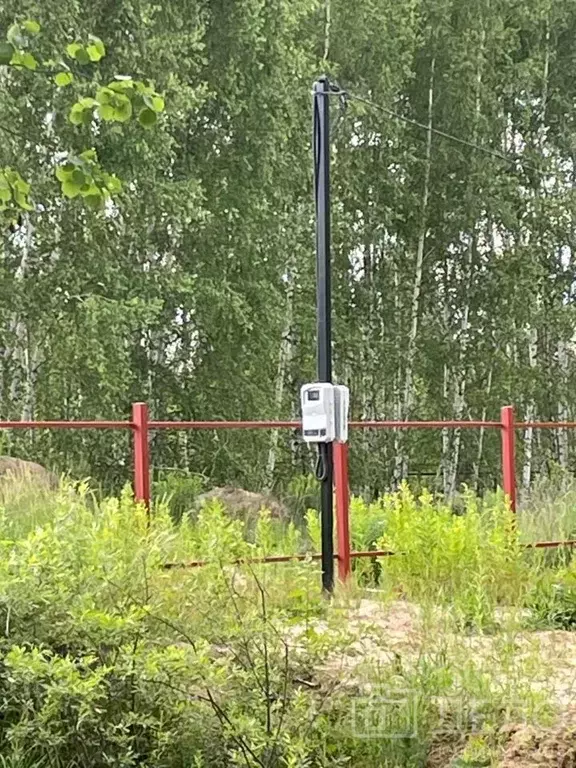 Участок в Рязанская область, Рязанский муниципальный округ, с. ... - Фото 2