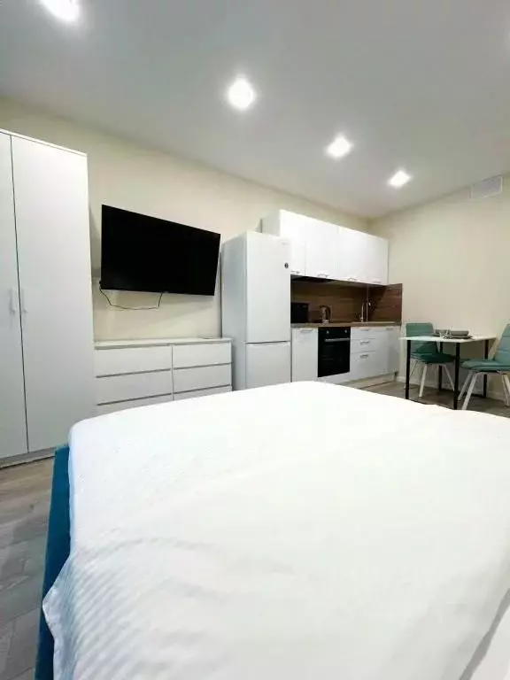 1-к кв. Краснодарский край, Сочи ул. Искры, 88к3 (27.0 м) - Фото 1