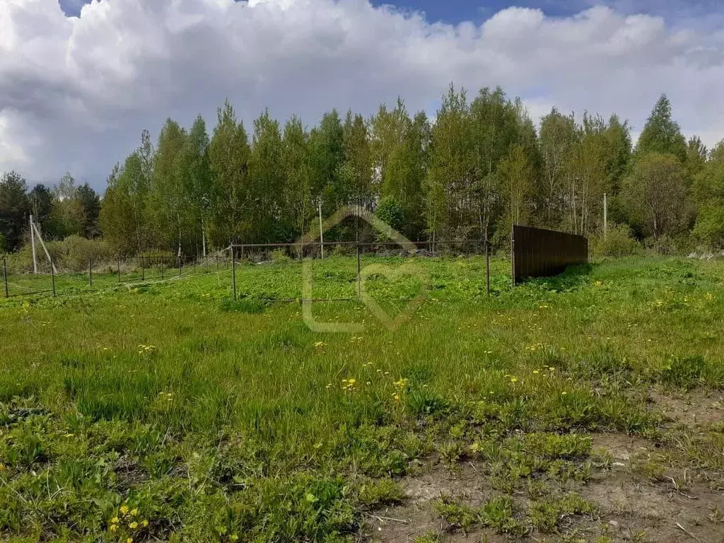 Участок в Тверская область, Калязин ул. Куликова (10.0 сот.) - Фото 0