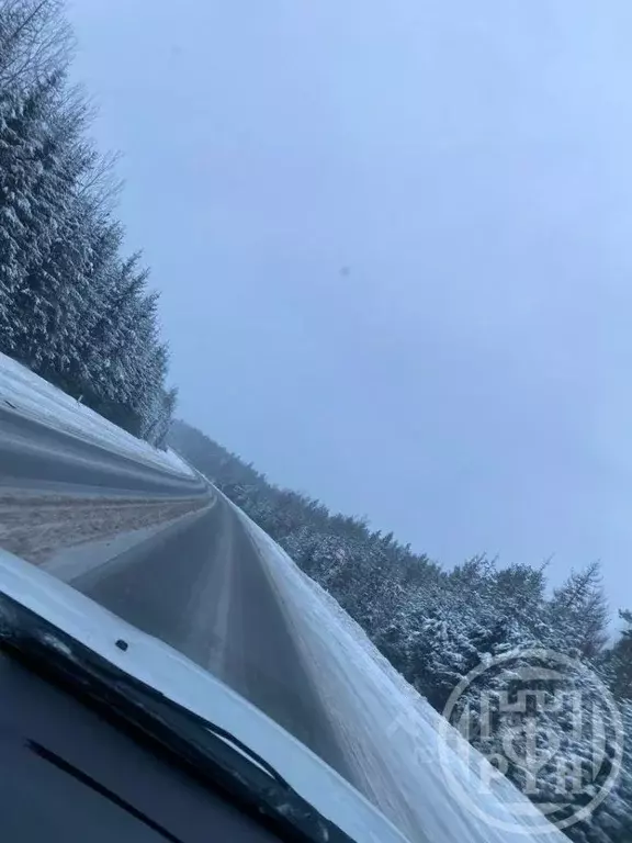 Участок в Псковская область, Струго-Красненский район, д. Теребуни  ... - Фото 1