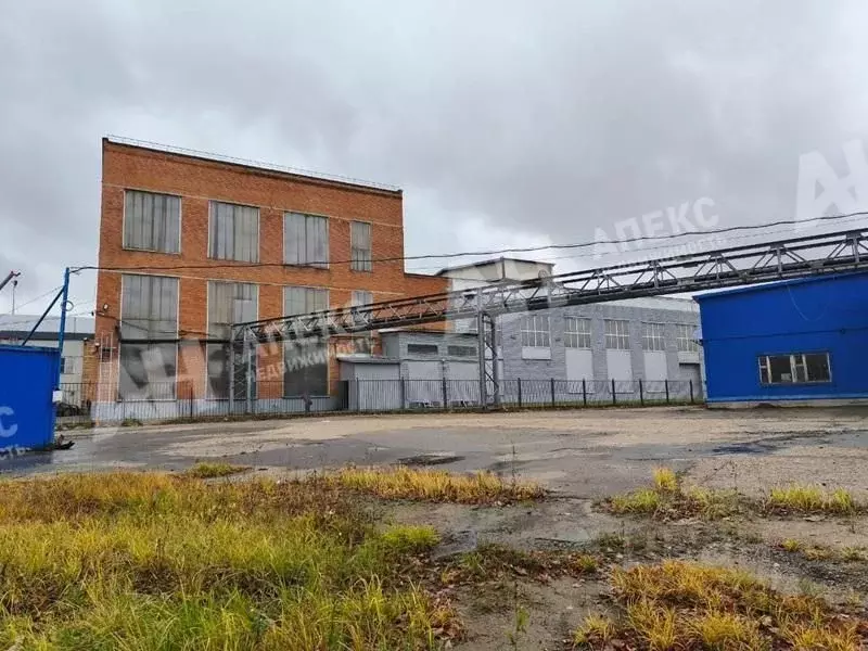 Производственное помещение в Московская область, Домодедово Северный ... - Фото 1