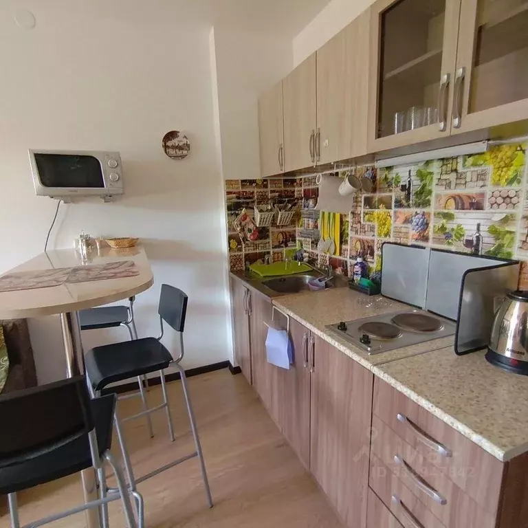 Студия Санкт-Петербург просп. Энергетиков, 9к3 (25.0 м) - Фото 1