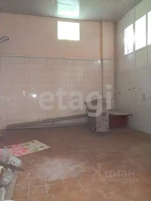 Склад в Брянская область, Погар рп ул. 1-й Квартал (1730 м) - Фото 2