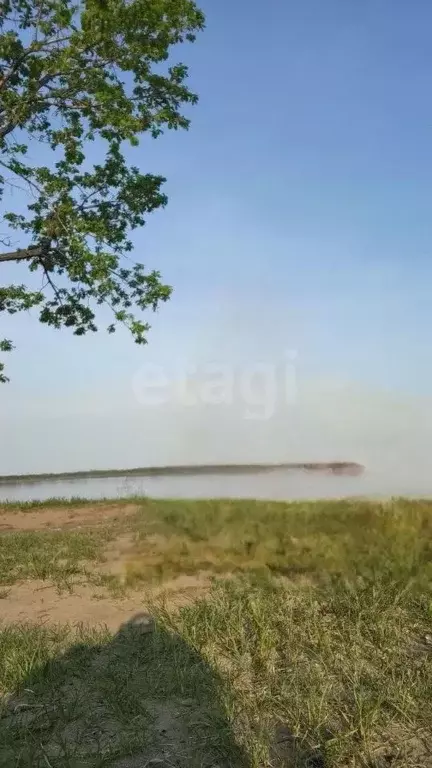 Участок в Амурская область, Благовещенский район, с. Усть-Ивановка ... - Фото 0