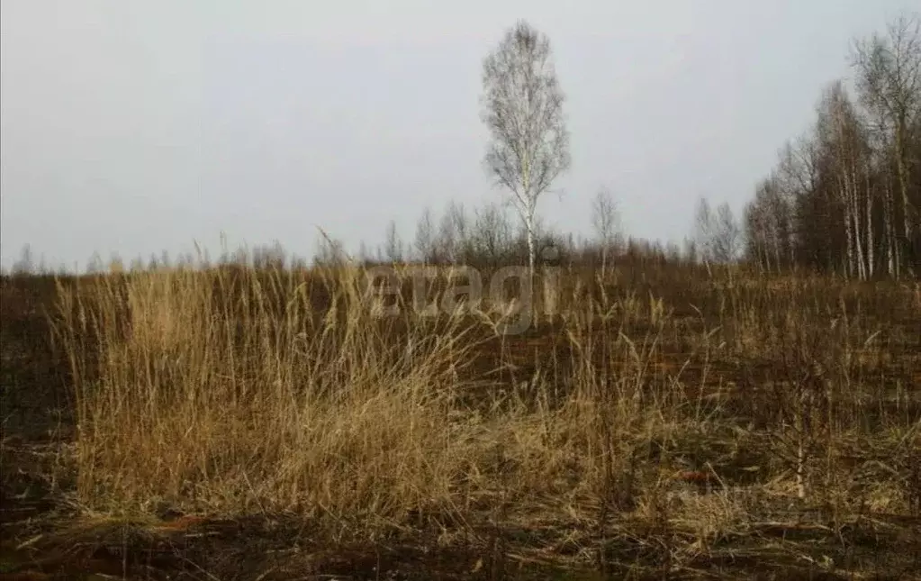 Участок в Ростовская область, Ростов-на-Дону Бетонный пер. (4.0 сот.) - Фото 0