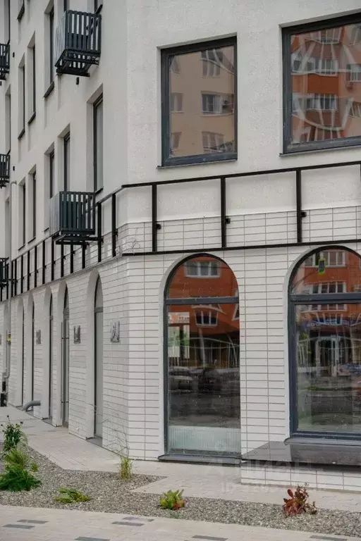 3-к кв. Липецкая область, Елец Радиотехническая ул., 11с1 (71.9 м) - Фото 1