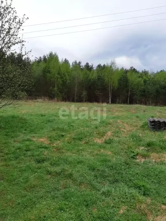 Участок в Вологодская область, Кадуйский муниципальный округ, д. ... - Фото 1