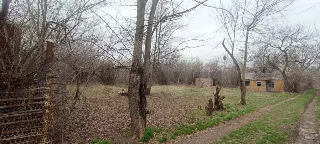 Участок 6,6 сот. (СНТ, ДНП) - Фото 1