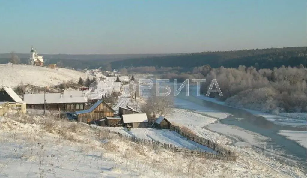 Участок в Свердловская область, Тугулымский городской округ, с. ... - Фото 0