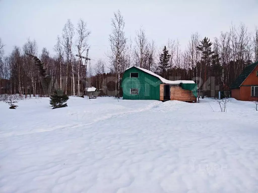 Дом в Московская область, Богородский городской округ, Дружба Плюс СТ ... - Фото 2