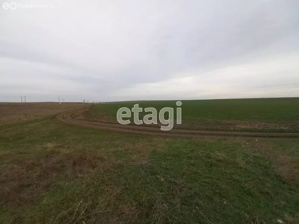 Участок в Сакский район, Ореховское сельское поселение, село Червоное ... - Фото 1