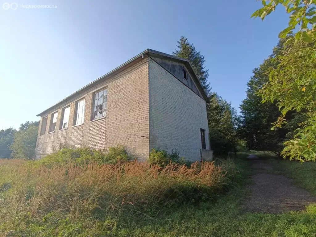 Помещение свободного назначения (994.4 м) - Фото 1