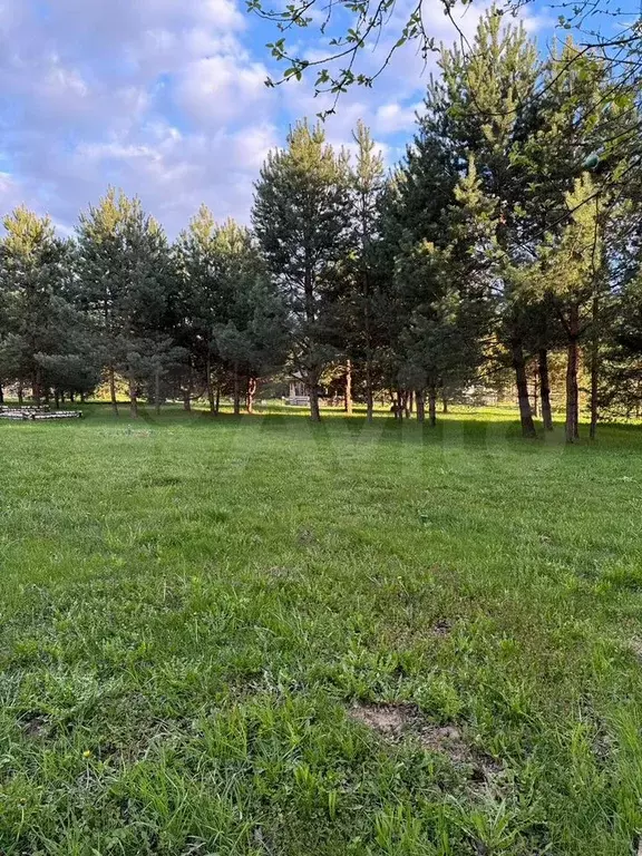 Участок 5 га (СНТ, ДНП) - Фото 0