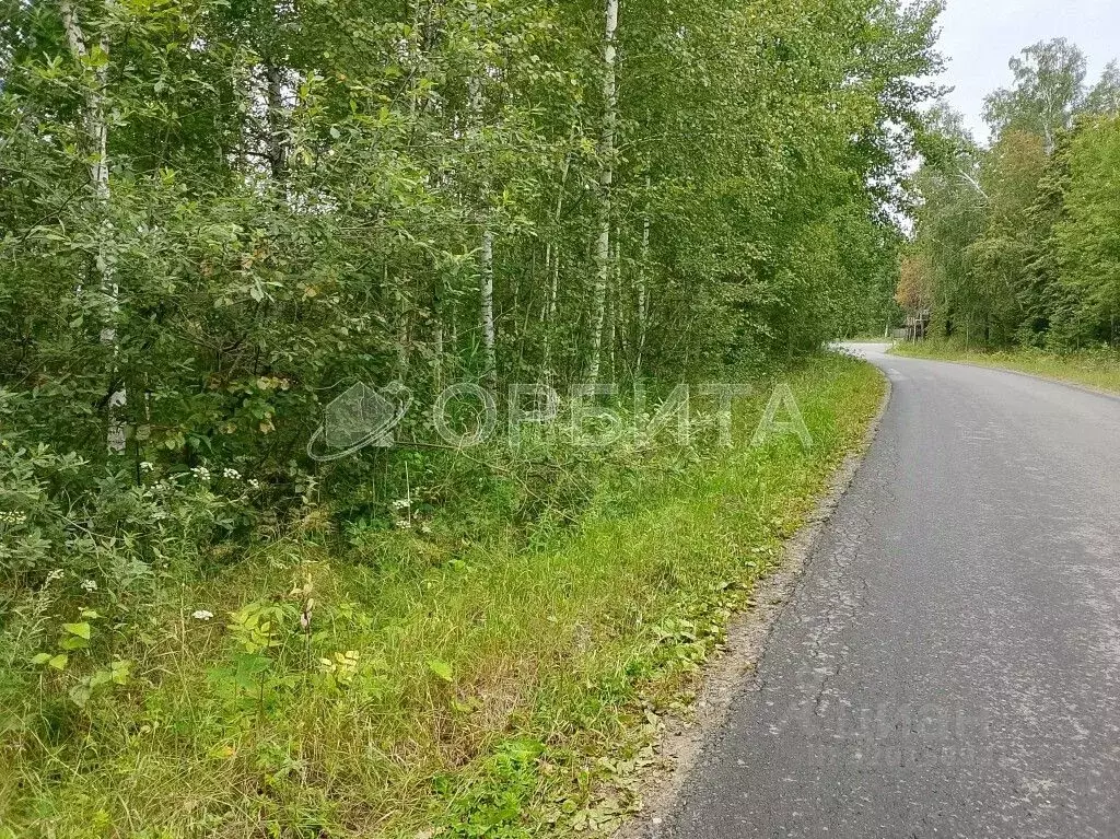 Участок в Тюменская область, Нижнетавдинский район, Сундукульский ... - Фото 1