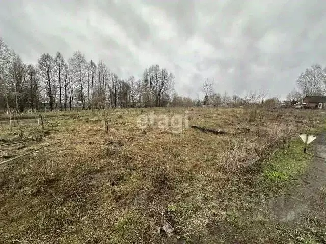 Участок в Пермский край, Пермский муниципальный округ, д. Шульгино  ... - Фото 2