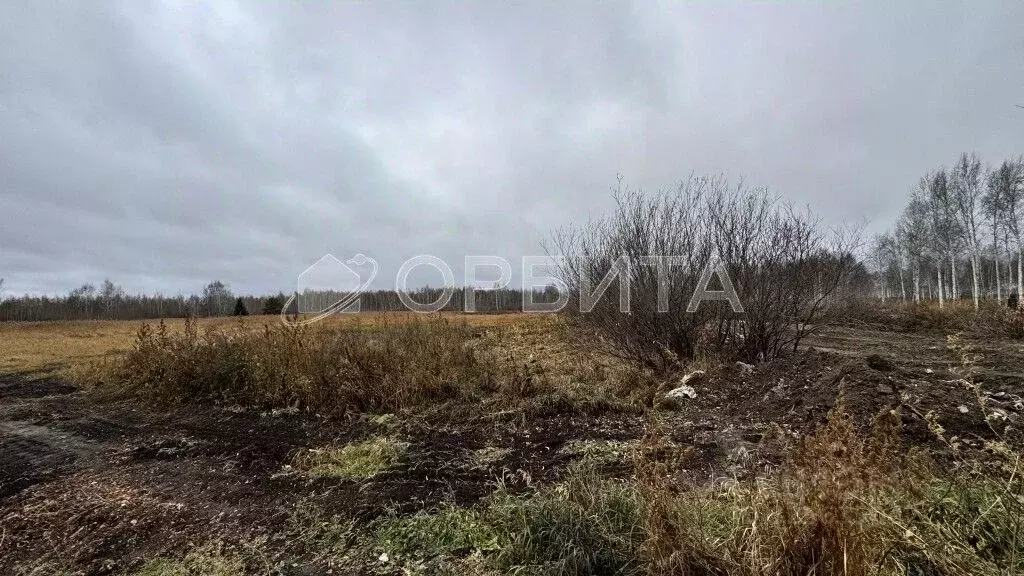 Участок в Тюменская область, Нижнетавдинский муниципальный округ, д. ... - Фото 2