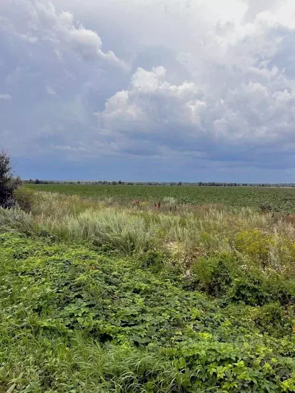 Участок в Оренбургская область, Сакмарский район, Татаро-Каргалинский ... - Фото 1