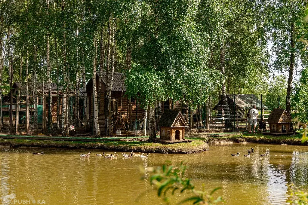 Продается участок в д. Новорождествено - Фото 1