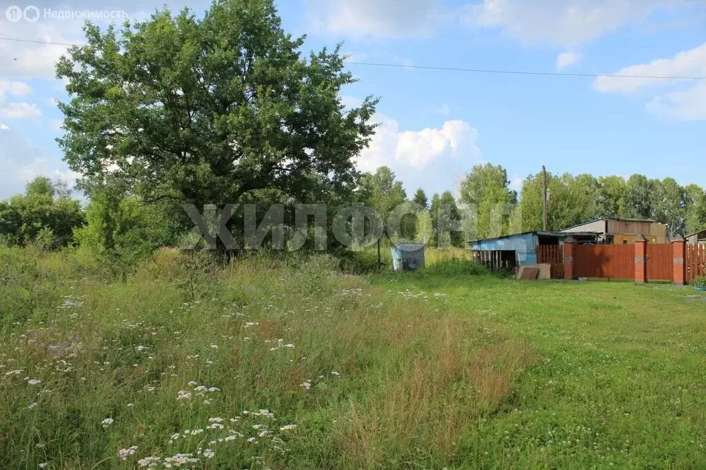 Участок в Репьевский сельсовет, деревня Шмаково, Центральная улица ... - Фото 1