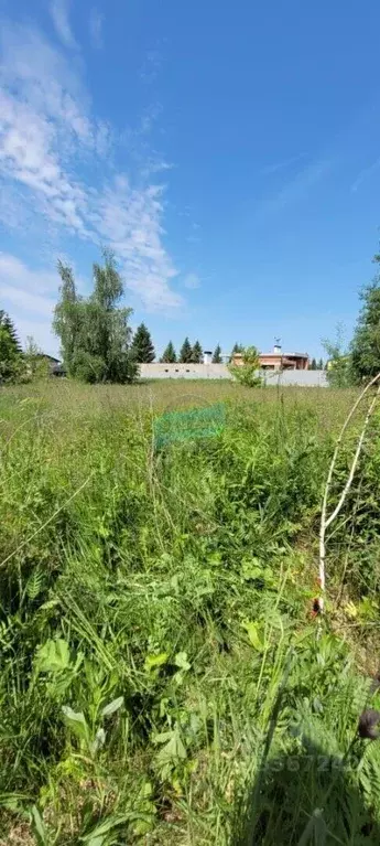 Участок в Орловская область, Мценск Спасский мкр,  (10.0 сот.) - Фото 2