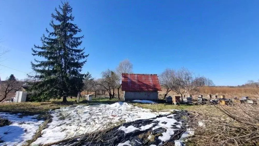 Участок в Калининградская область, Багратионовский муниципальный ... - Фото 1