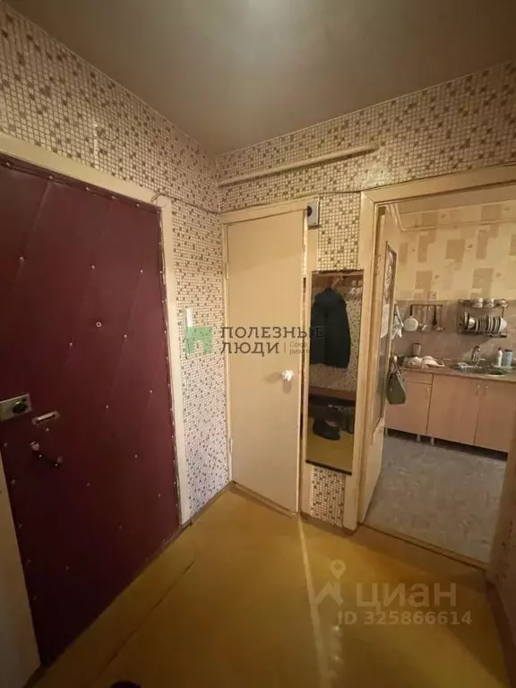 1-к кв. Курганская область, Курган ул. Криволапова, 12 (35.6 м) - Фото 2